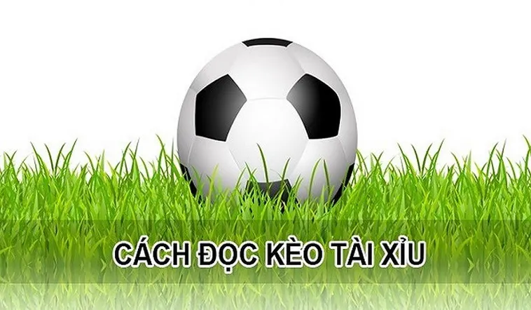 Hướng Dẫn Cách Chơi Kèo Tài Xỉu Bóng Đá Tại Keovip.blog Chuẩn Xác